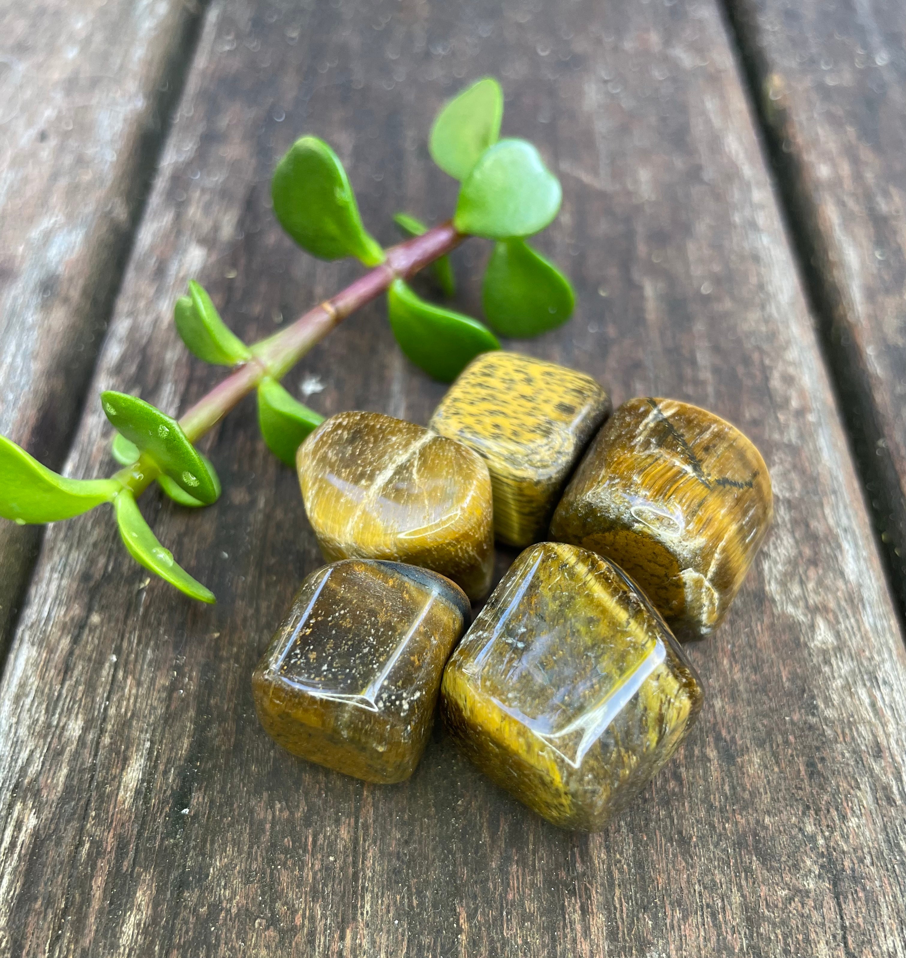 Tigers Eye